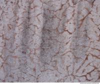 Photo Texture of Plaster 0111